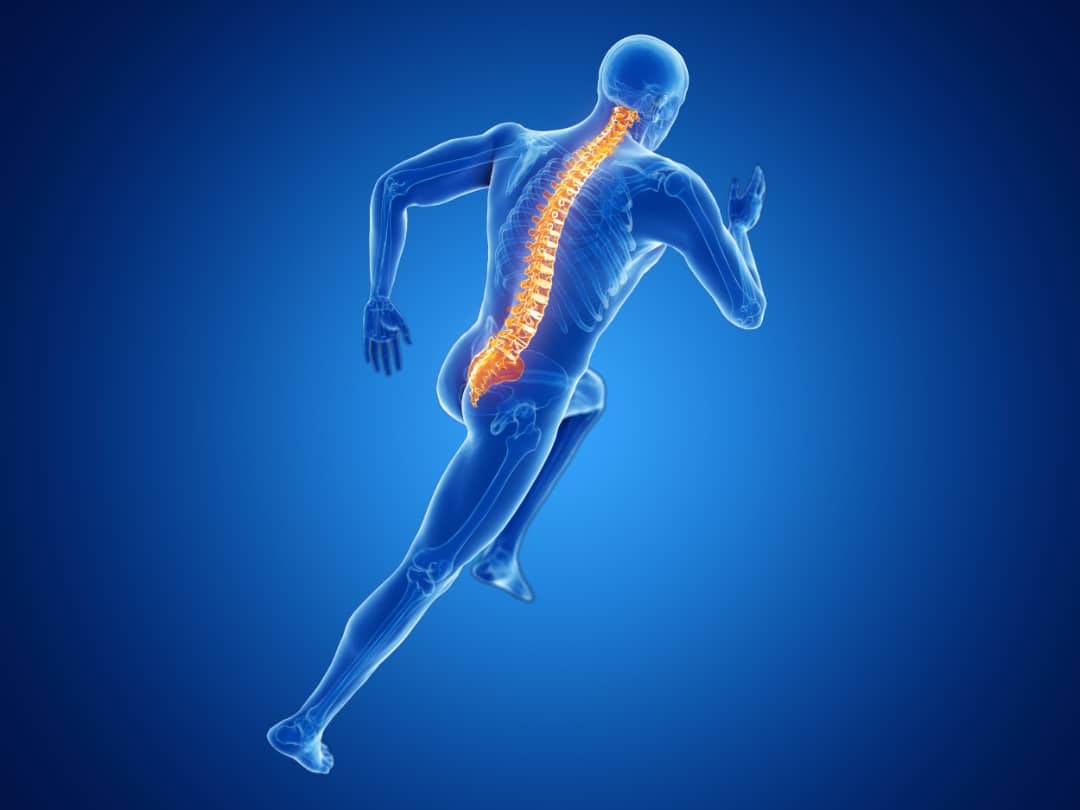 Spinal Vital a Sportovci